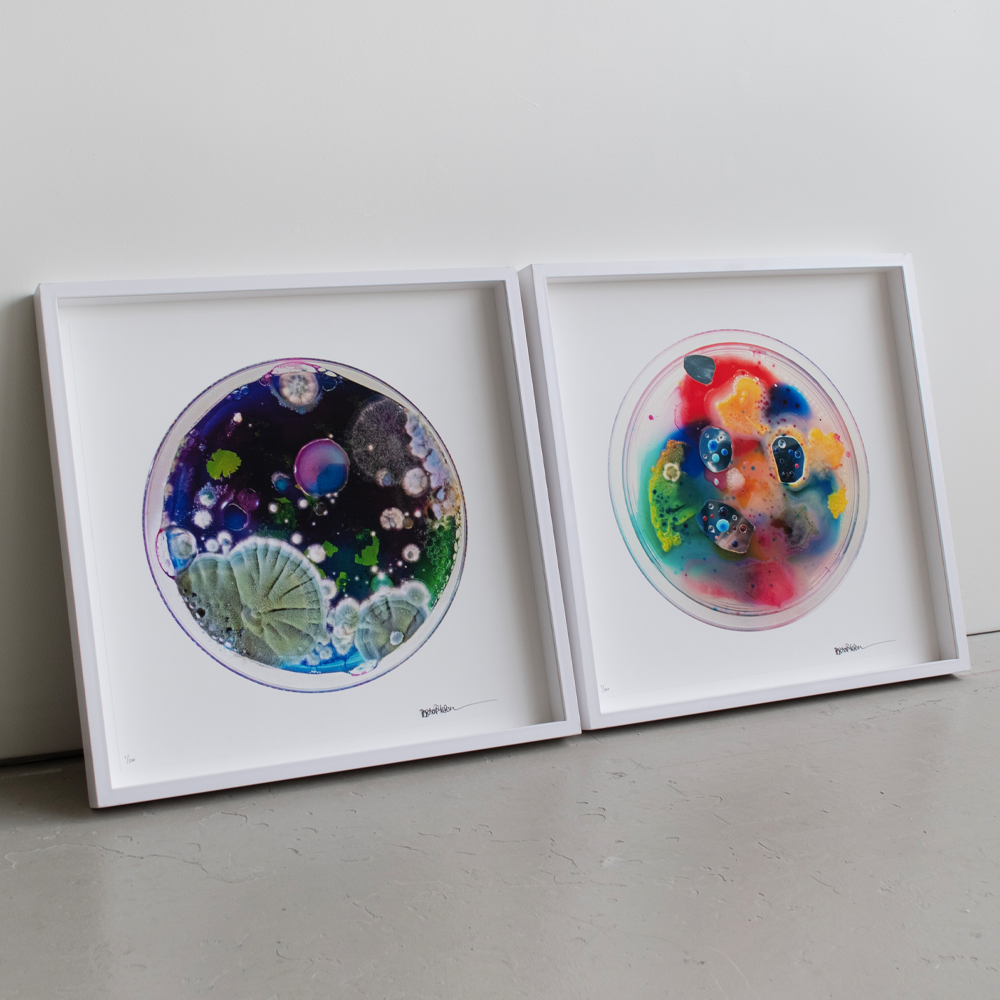 AB x Dasha Plesen - Series 2