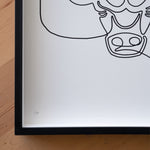 Bulls